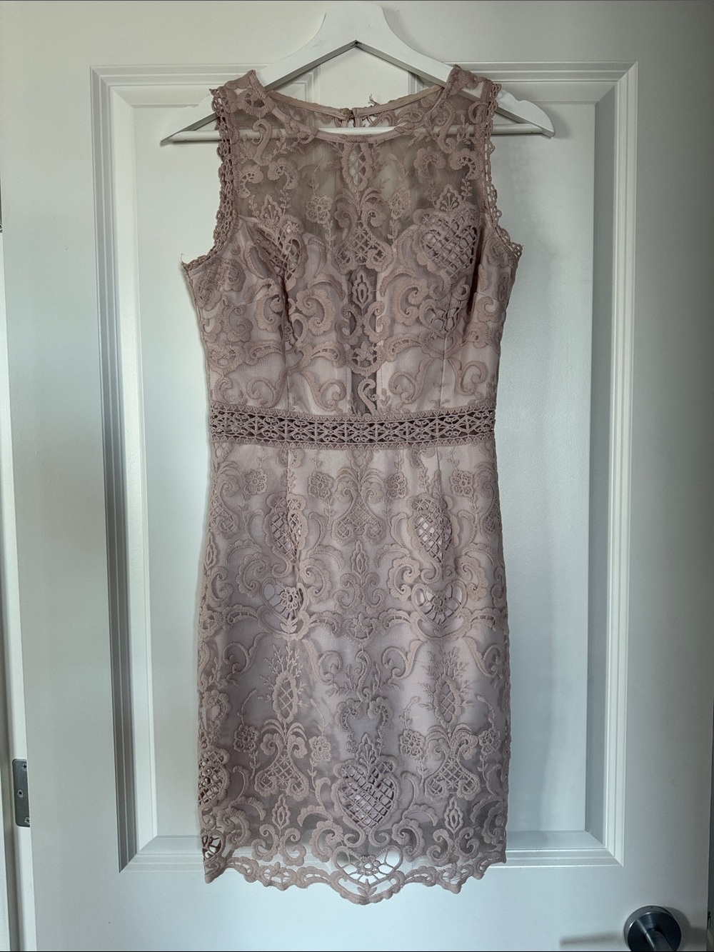 Soieblu Sleeveless Lace Sheath Dress in Dusty Rose